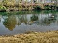 adda (7)